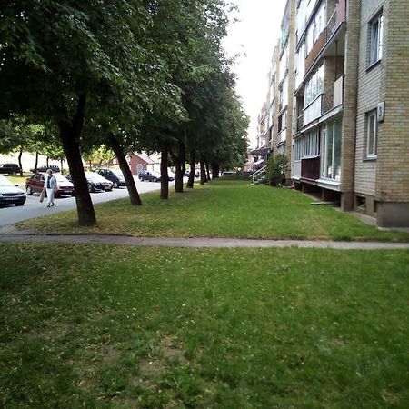 AnykščiaiAnykstuko Butas公寓 外观 照片