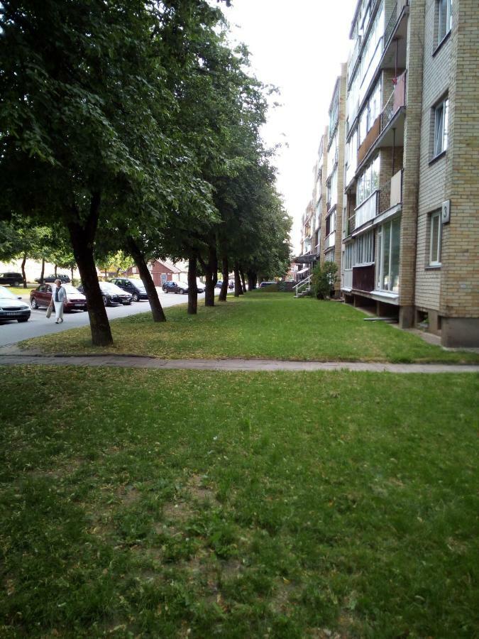 AnykščiaiAnykstuko Butas公寓 外观 照片