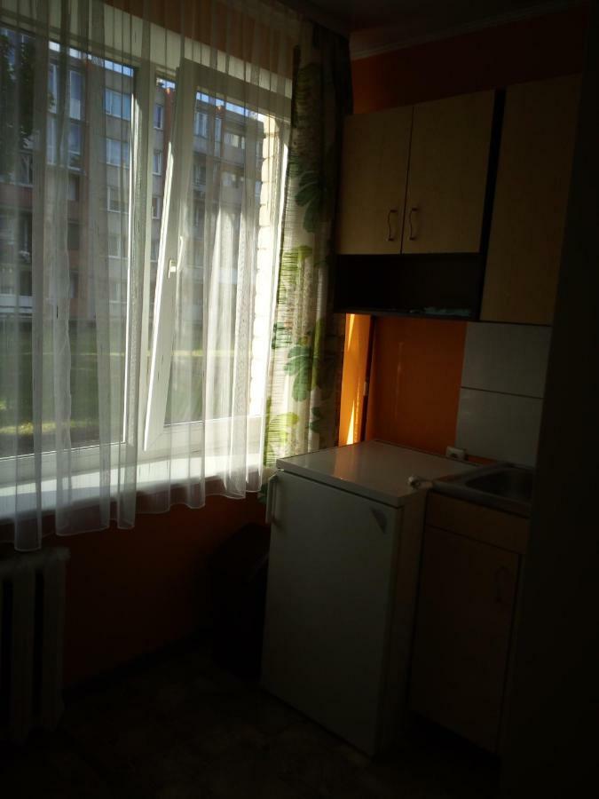 AnykščiaiAnykstuko Butas公寓 外观 照片