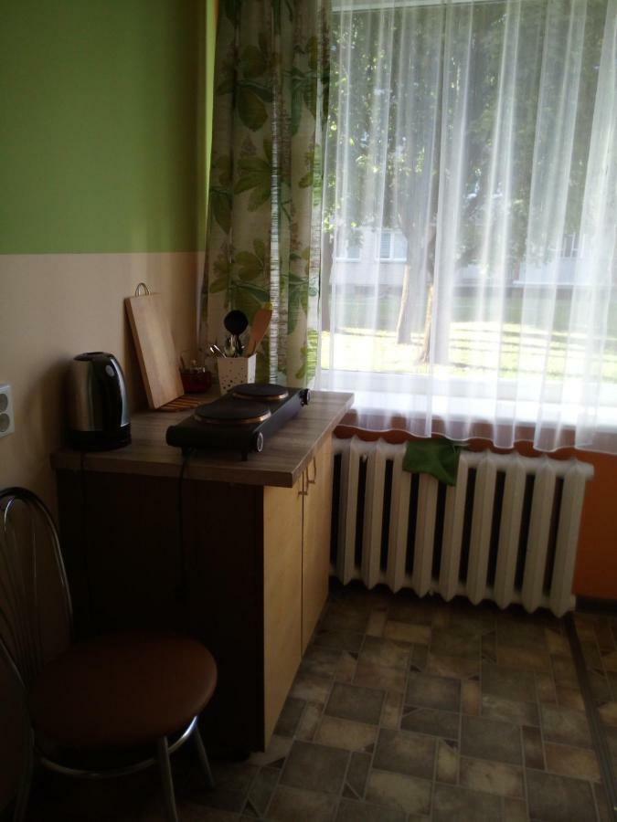 AnykščiaiAnykstuko Butas公寓 外观 照片